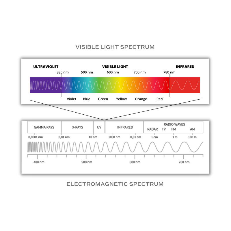 Infographic of electromagnetic spectrum and visible light spectrum