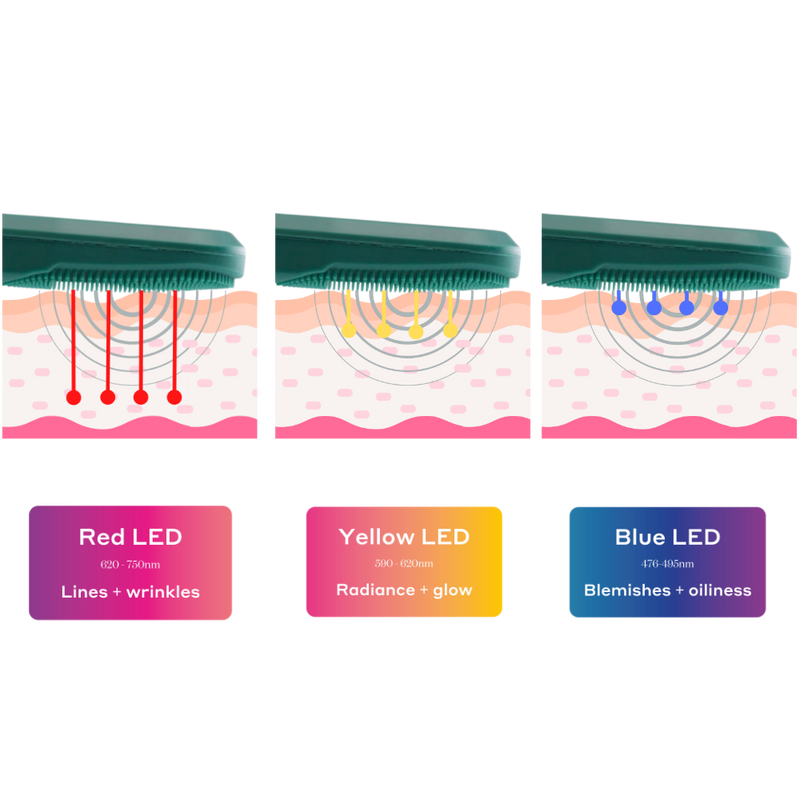 Infographic of LED penetrating the skin - Red LED penetrates the deepest to target fine lines + wrinkles, Yellow LED penetrate below the surface to create radiance + glow and blue LED targets the surface level for blemishes + oiliness