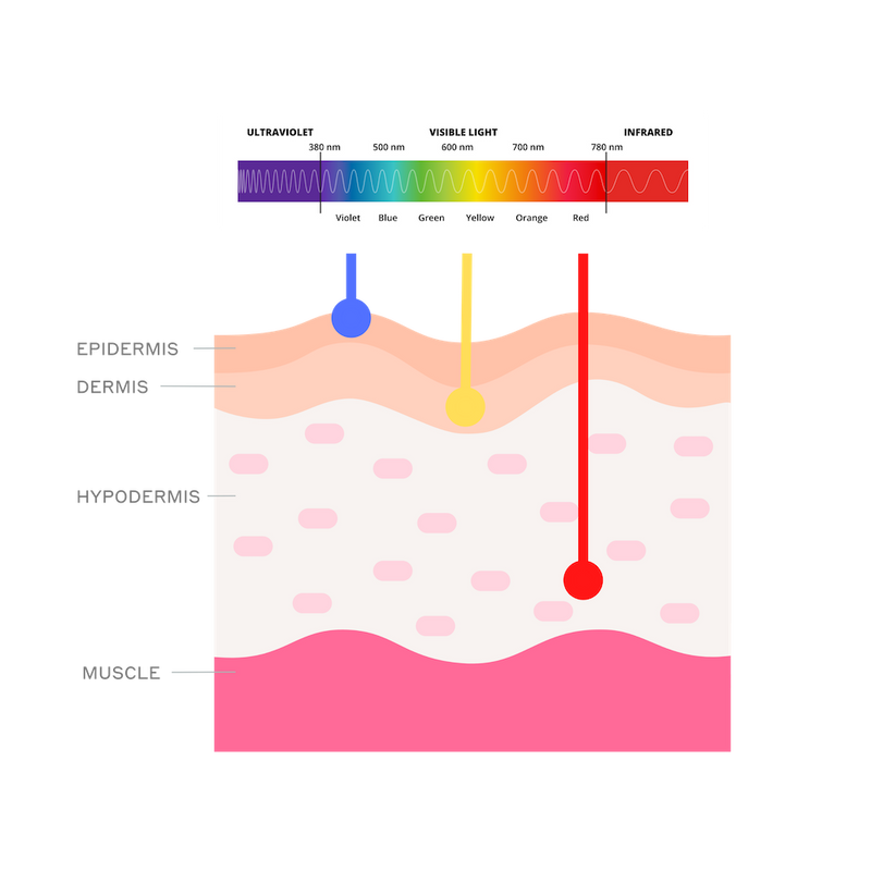 LED Light Therapies on the Light Spectrumhow they work by MAGNITONE London